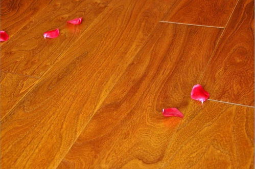 家装必备 多种材质地板选购全攻略